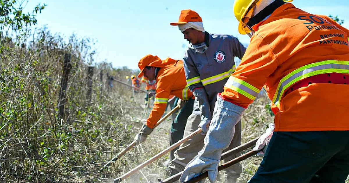 Edital oferece até R$ 7 milhões em projetos contra fogo no Pantanal