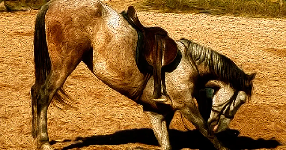 Cavalo selado não passa duas vezes