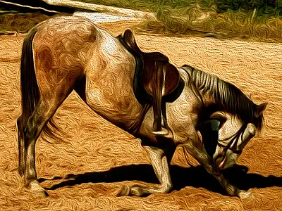 Cavalo selado não passa duas vezes