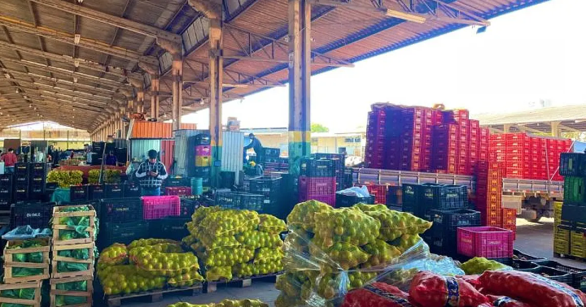 MS registra aumento de 18,78% em produtos comercializados na Ceasa