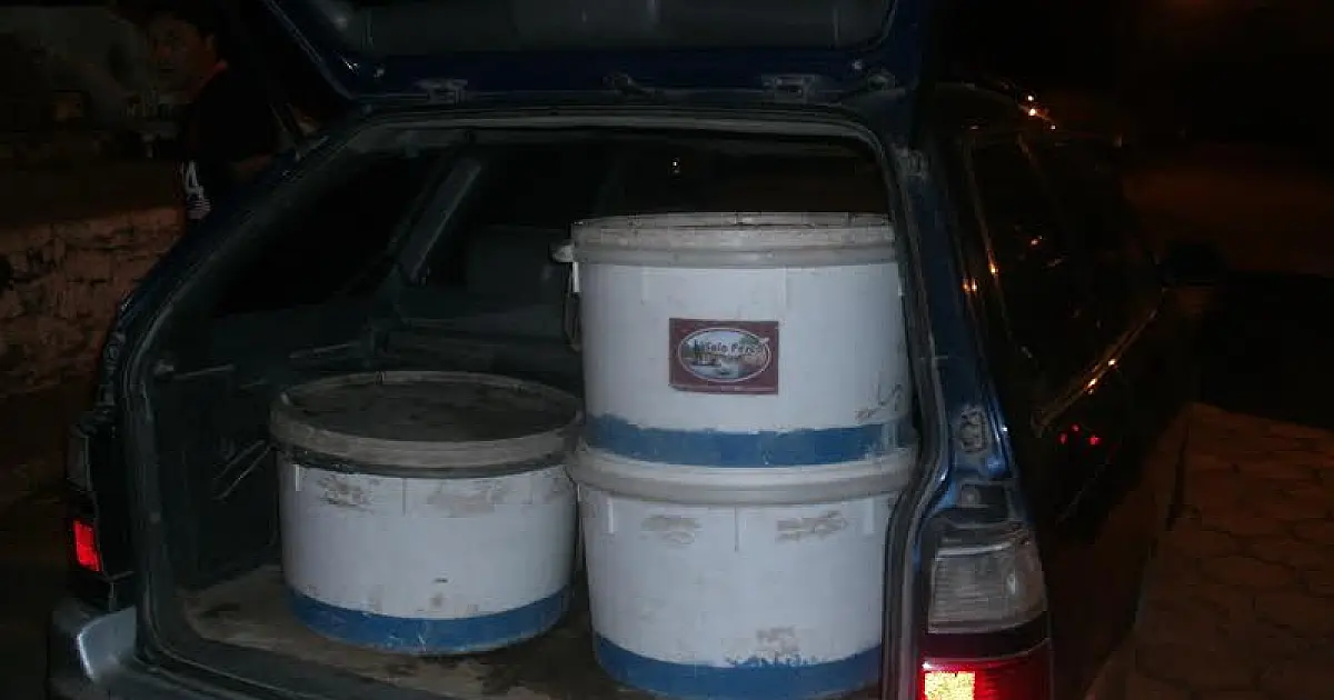 Bolivianos são flagrados com carregamento ilegal de iscas vivas