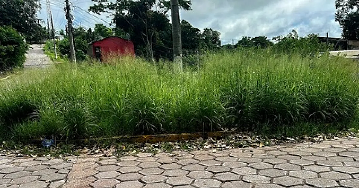 Moradores reclamam de vegetação alta em rotatória do Bairro Cervejaria