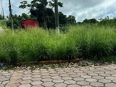 Moradores reclamam de vegetação alta em rotatória do Bairro Cervejaria