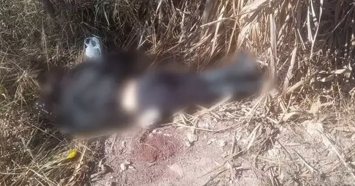 Vítima encontrada em matagal na parte alta de Corumbá é identificada