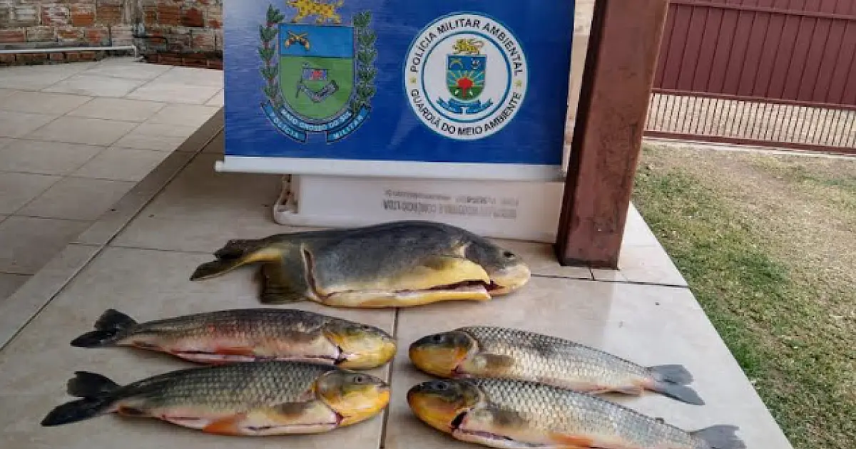Dois pescadores são multados em R$ 1,6 mil por pesca predatória