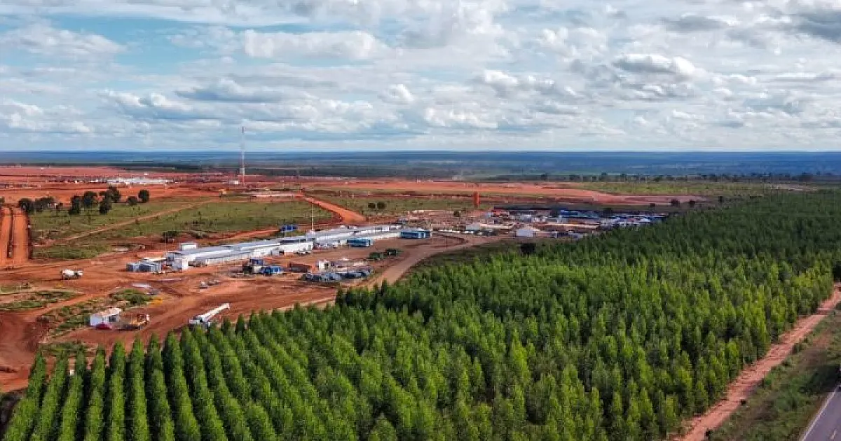 Acessos estratégicos irão impulsionar setor da celulose em MS
