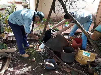 MS registra 8.172 casos confirmados de dengue