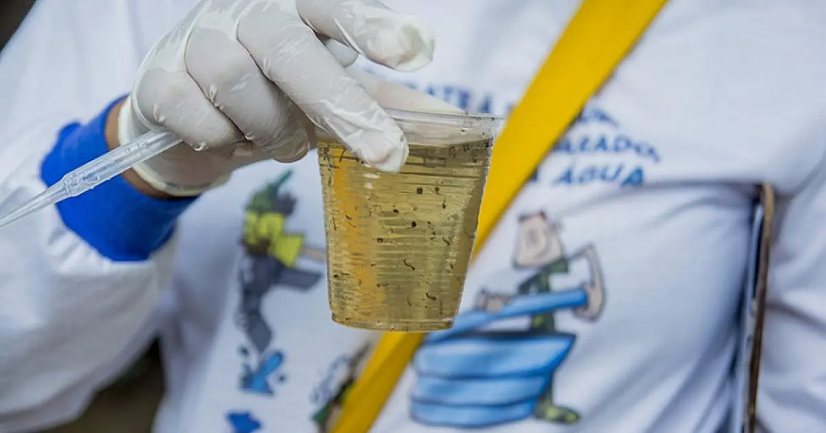 Ações contra Aedes aegypti prosseguem; equipes da Saúde visitaram 3,8 mil imóveis