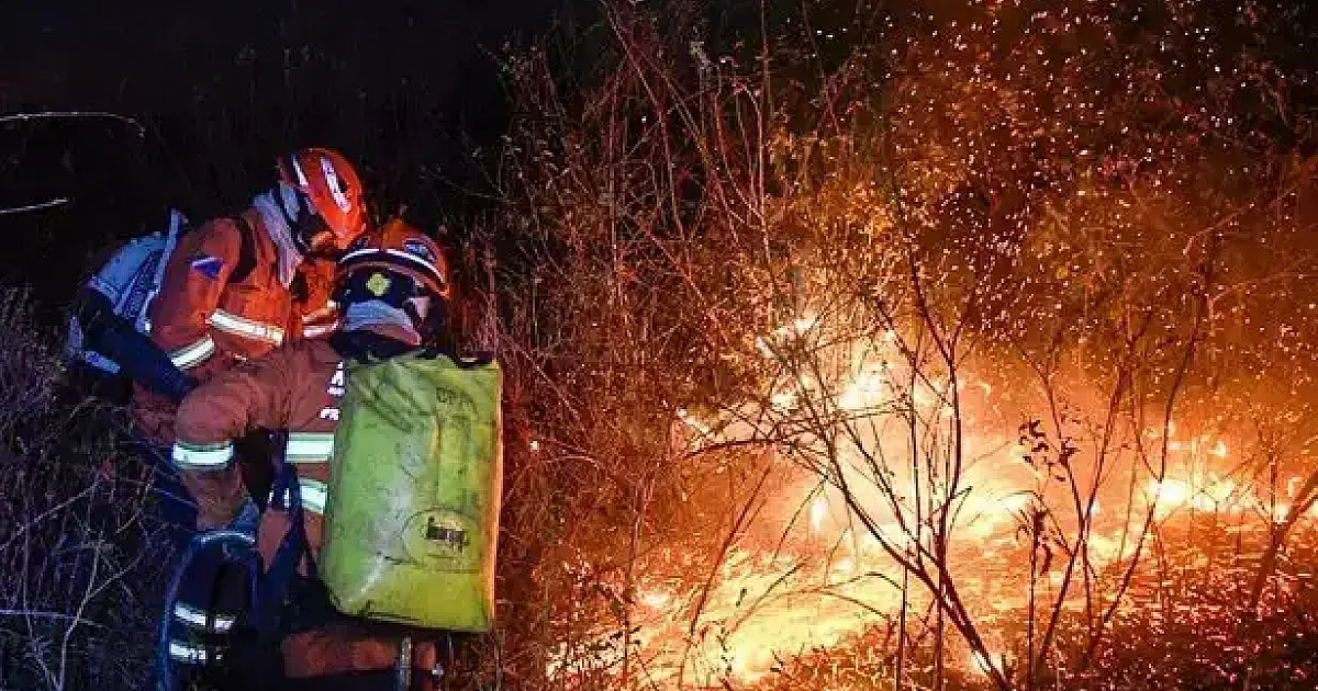 Governo investe R$ 1,4 milhão em brigadas para prevenir incêndios no Pantanal