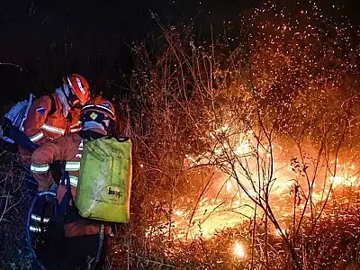 Governo investe R$ 1,4 milhão em brigadas para prevenir incêndios no Pantanal