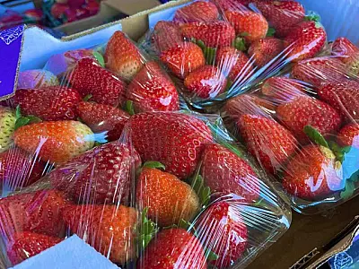 Morango do amor faz procura pela fruta aumentar; preço já subiu 35%