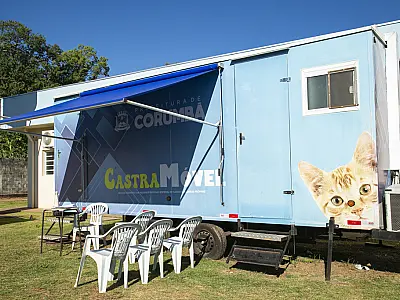 Baixa adesão compromete castrações gratuitas no Castramóvel em Corumbá