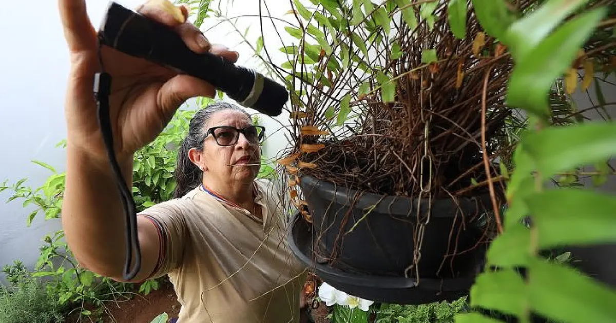 'Dia D' de Combate à Dengue será marcado por ações de conscientização em todo o MS