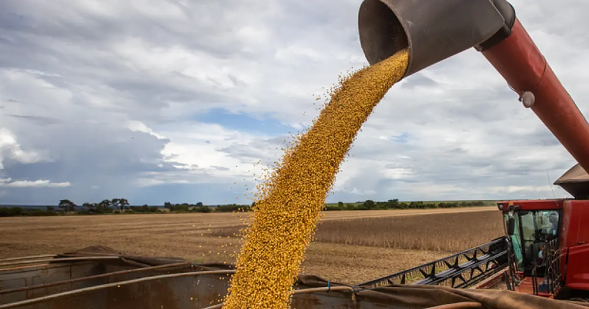 Preço da soja sobe 1,67%, mas venda continua bem abaixo do ano passado
