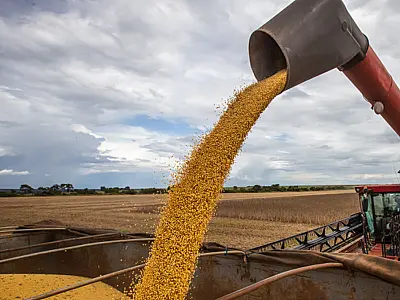 Preço da soja sobe 1,67%, mas venda continua bem abaixo do ano passado