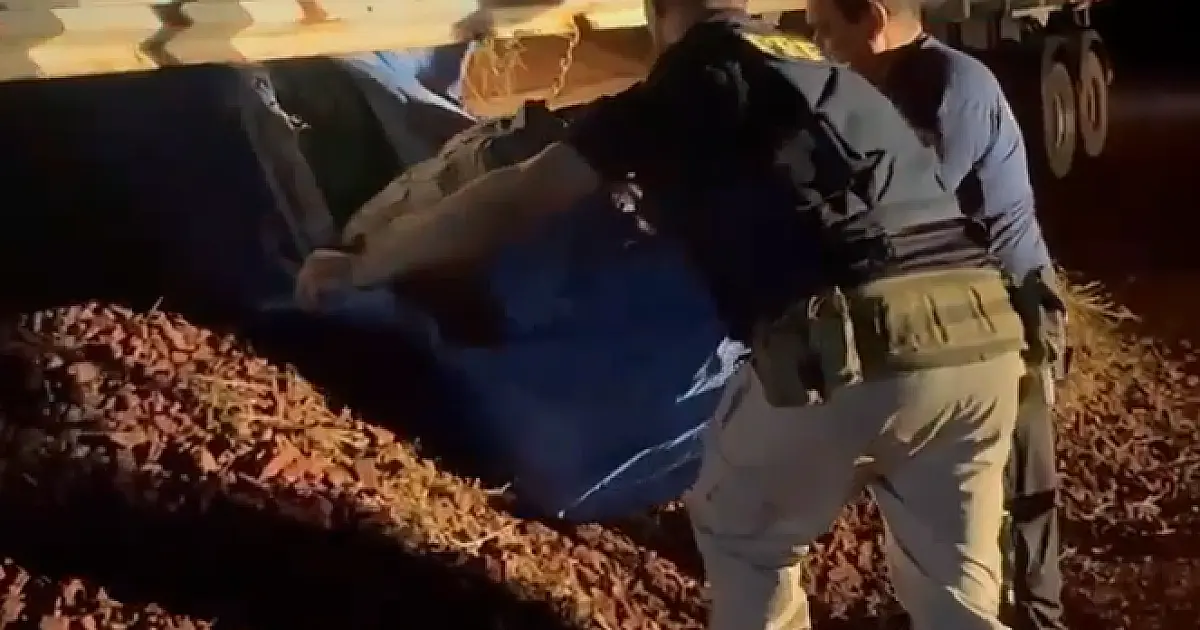 Fiscalização apreende 391 Kg de cocaína camuflados em carga de minério