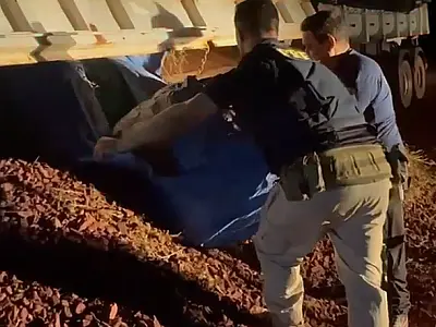 Fiscalização apreende 391 Kg de cocaína camuflados em carga de minério