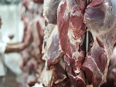 Frigoríficos cessam exportação aos EUA, mudam rota e valor da picanha pode cair