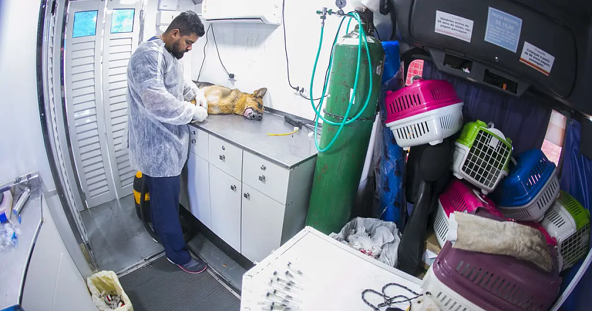 Mutirão amplia castrações gratuitas e atende até 1.600 animais em Corumbá