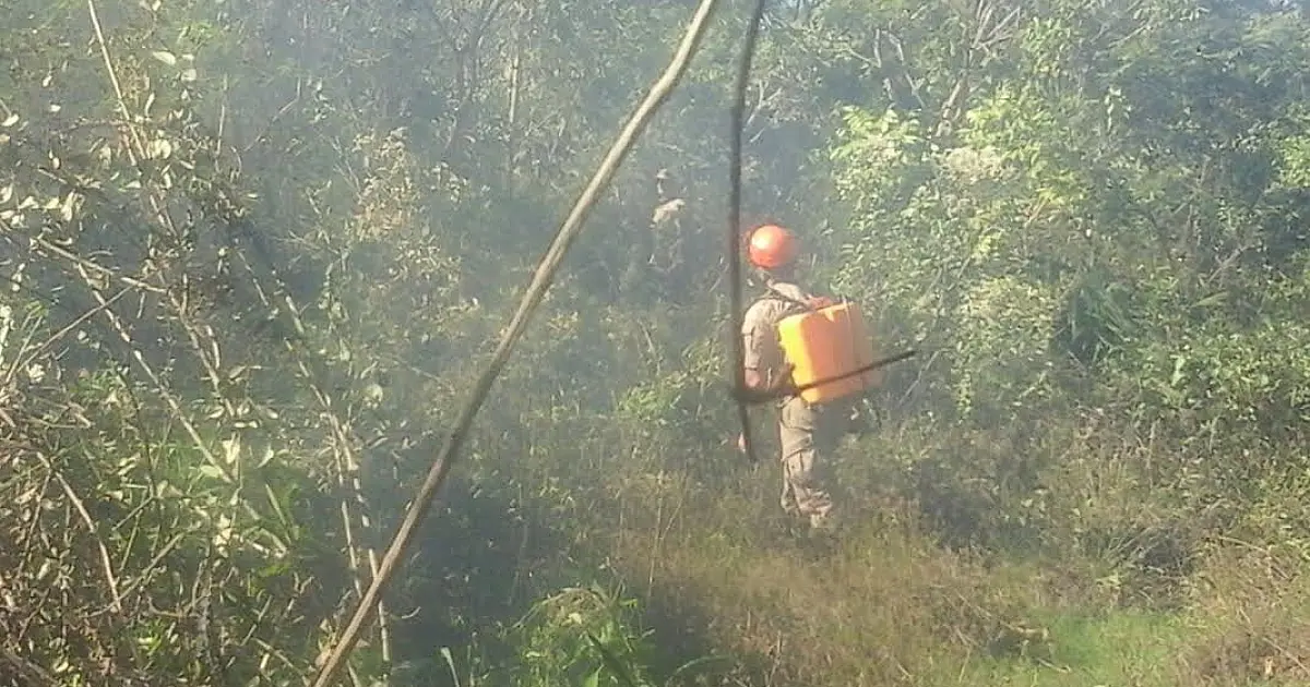 Incêndio ameaça atingir subestação de Gás Natural