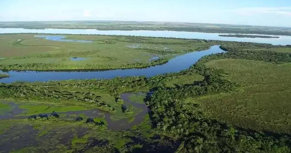 Decreto define regras para corredores ecológicos em propriedades rurais de MS