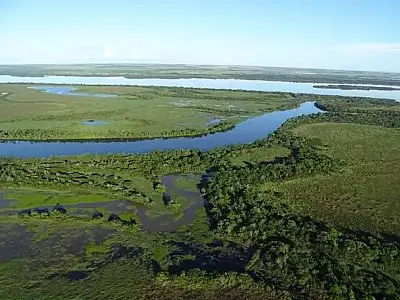 Decreto define regras para corredores ecológicos em propriedades rurais de MS