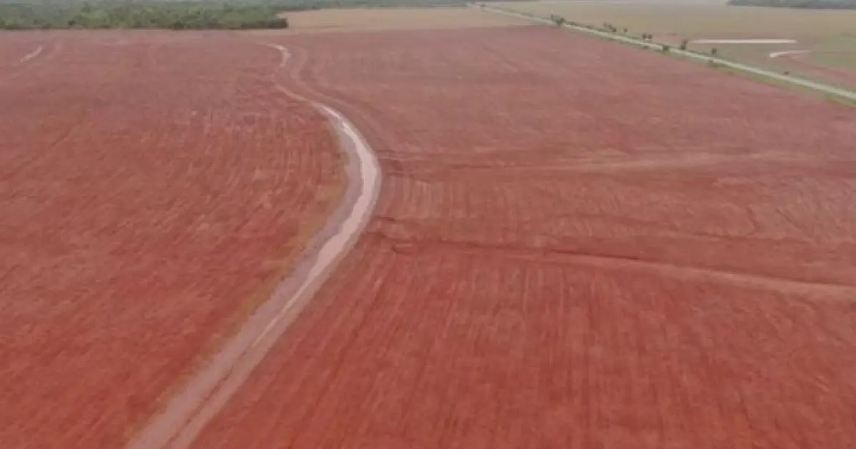 FCO teve recorde de financiamentos no Estado em 2025