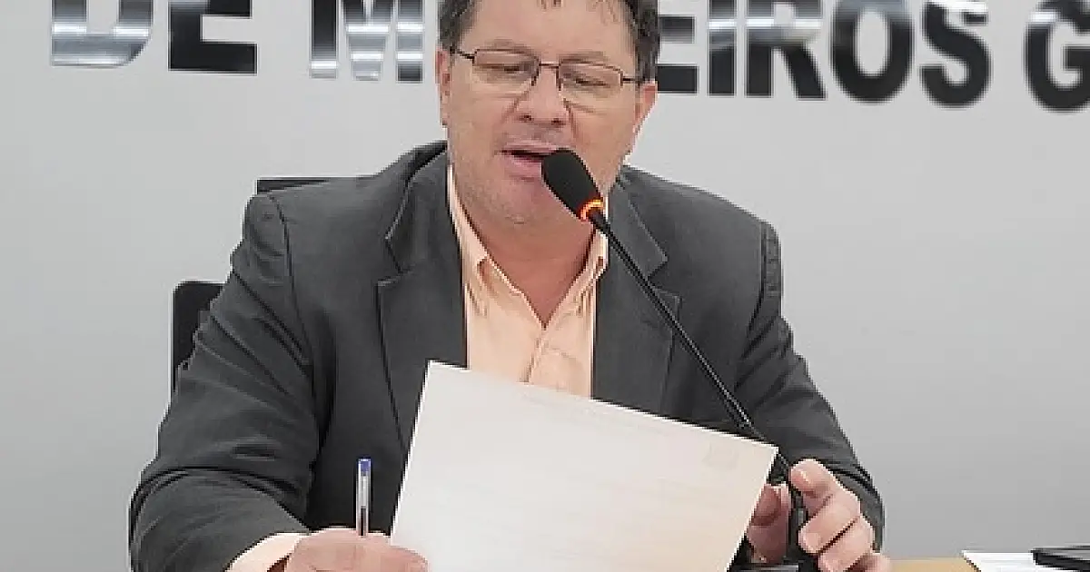 Bira cobra fiscalização e retirada de animais de grande porte das ruas