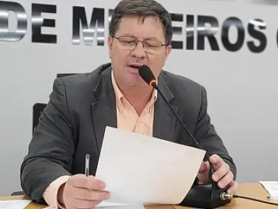 Bira cobra fiscalização e retirada de animais de grande porte das ruas