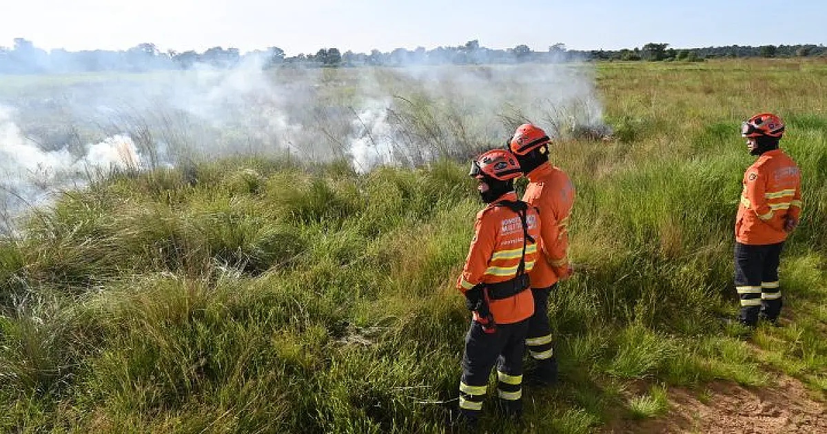 Com exceção do Pantanal, MS antecipa prazo e libera queima controlada