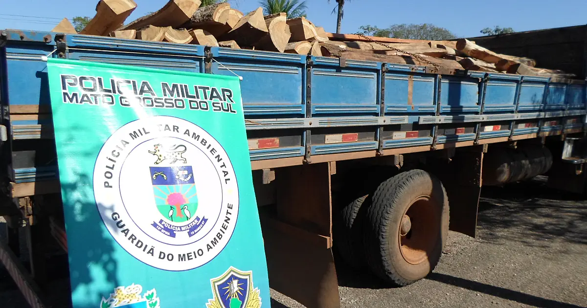 PMA apreende caminhão com carga ilegal de madeira