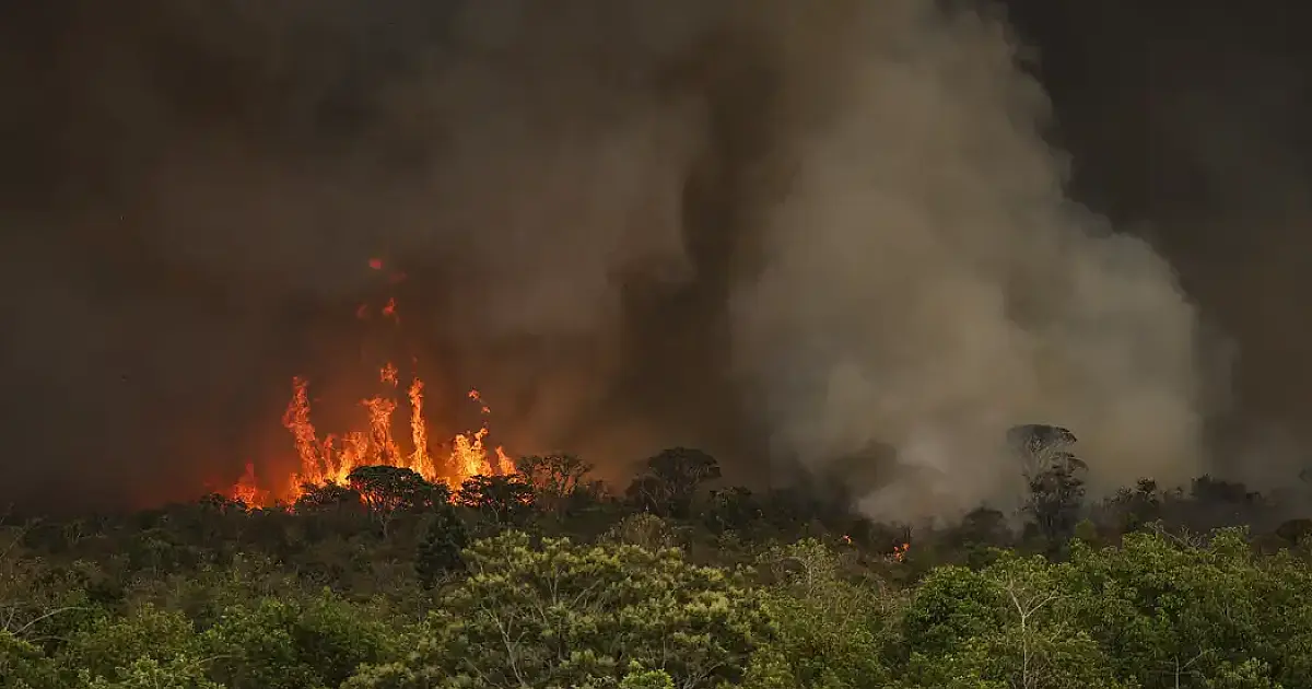 Câmara aprova aumento de punição a quem provocar incêndios florestais