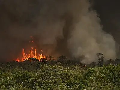 Câmara aprova aumento de punição a quem provocar incêndios florestais