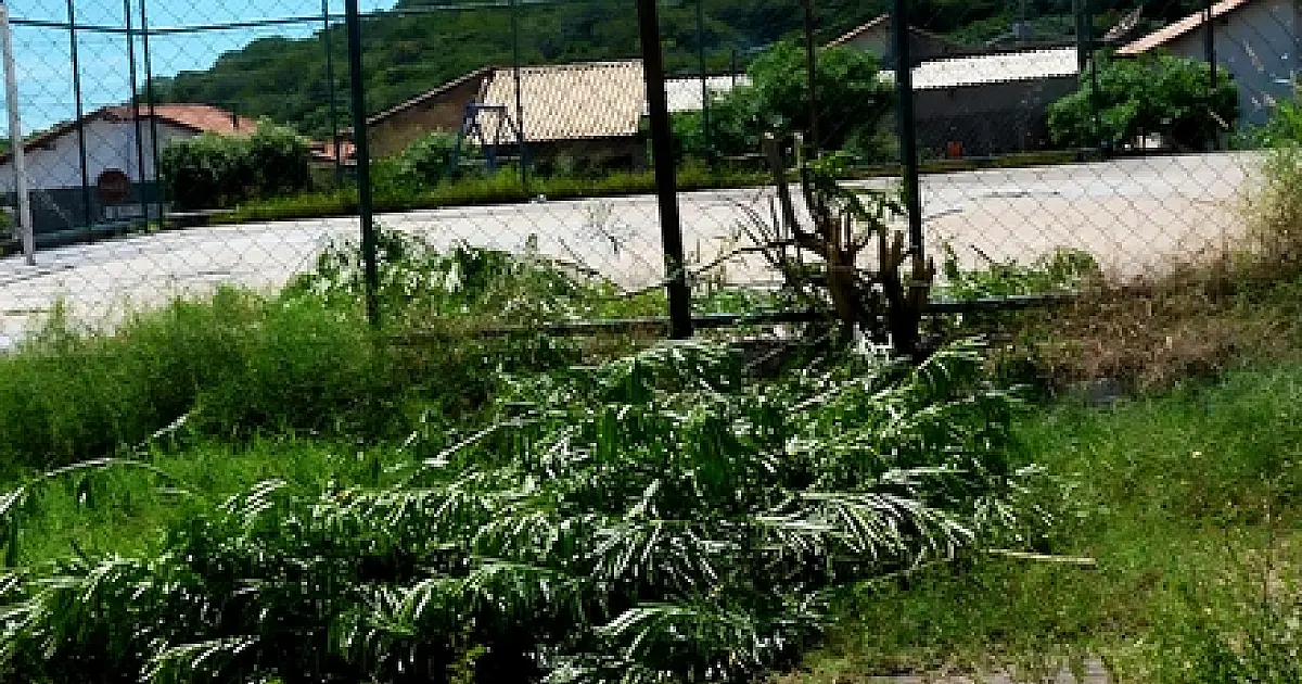 Samyr cobra serviços necessários para melhoria do residencial Pró-Moradia