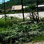 Samyr cobra serviços necessários para melhoria do residencial Pró-Moradia