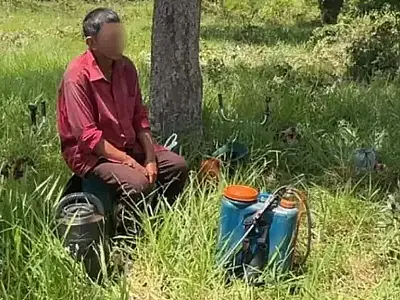 No mapa do trabalho escravo, MS tem 28 fazendas na "lista suja"