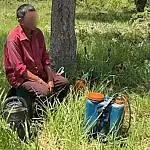 No mapa do trabalho escravo, MS tem 28 fazendas na "lista suja"