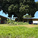 Escola do Pantanal conclui melhorias após prêmio nacional de sustentabilidade