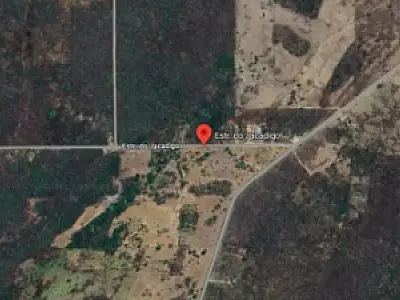 Mineradora é condenada a pagar R$ 1,8 mi por exploração ilegal no Pantanal