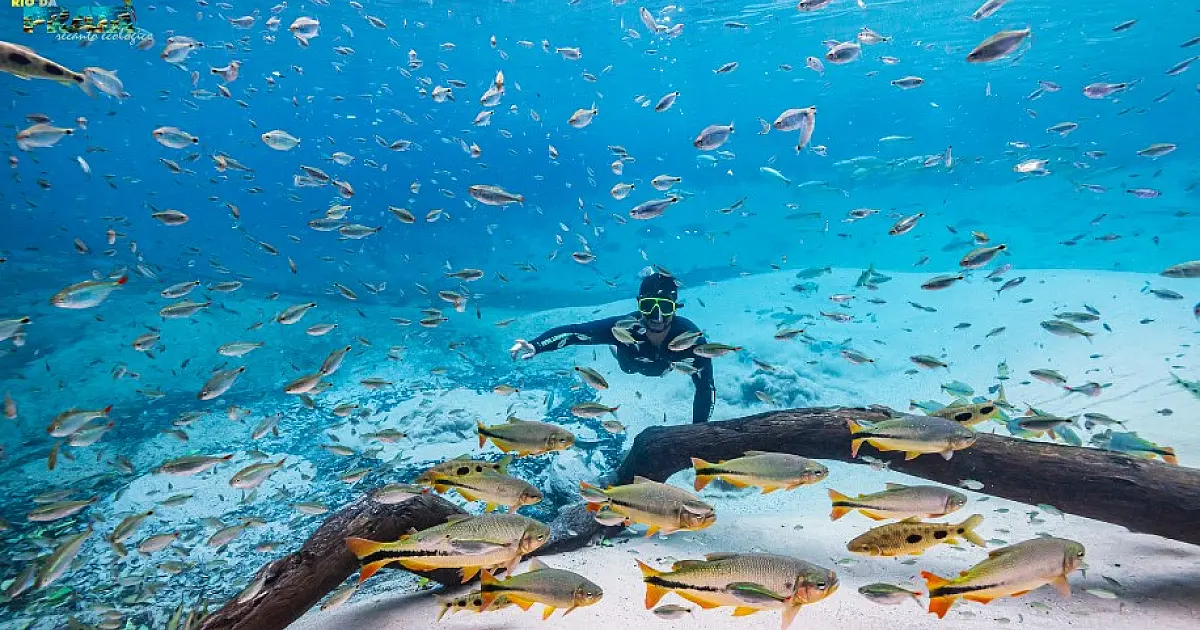 Atrativos de Mato Grosso do Sul vencem prêmio internacional de turismo sustentável