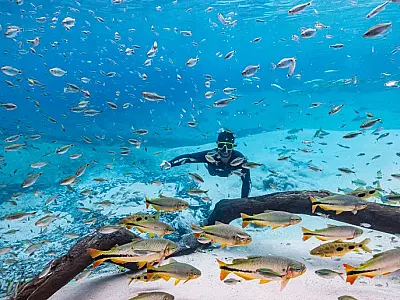 Atrativos de Mato Grosso do Sul vencem prêmio internacional de turismo sustentável