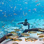 Atrativos de Mato Grosso do Sul vencem prêmio internacional de turismo sustentável