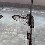 Novas fissuras na ponte sobre o rio Paraguai motiva cobrança por obras urgentes