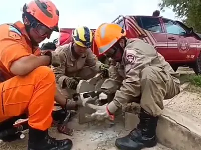 Bombeiros salvam filhote de gato preso em bueiro de Creche