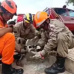 Bombeiros salvam filhote de gato preso em bueiro de Creche