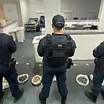 Operação desarticula esquema de tráfico internacional em Corumbá