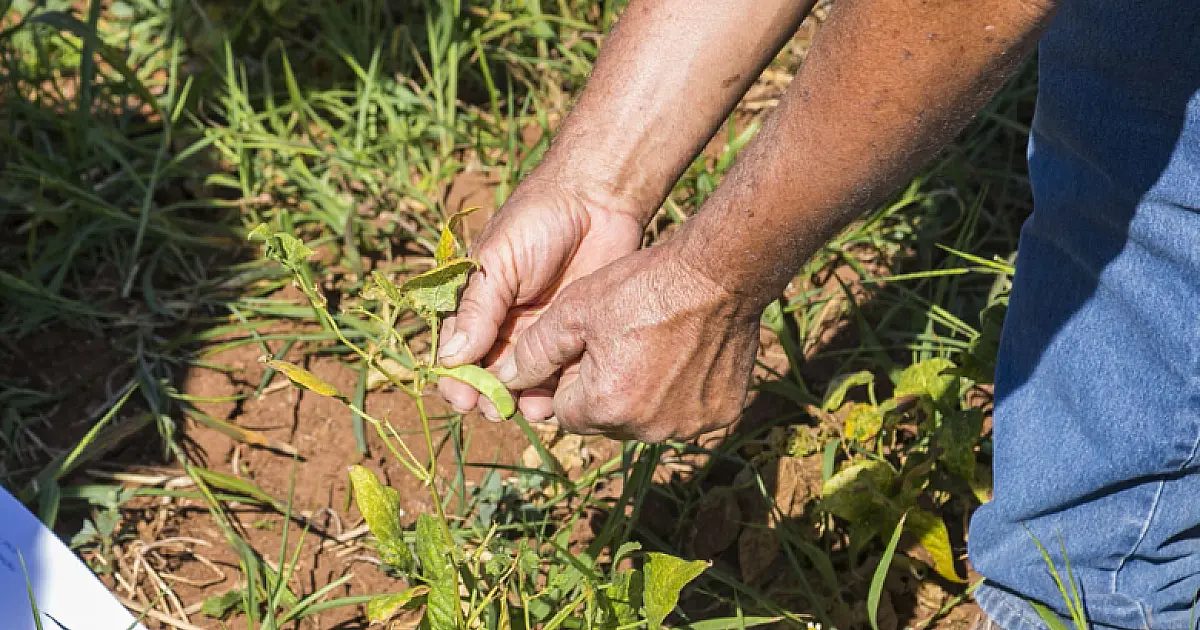 Prefeitura institui serviço para acelerar reforma agrária e regularização de terras