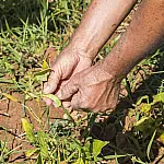Prefeitura institui serviço para acelerar reforma agrária e regularização de terras