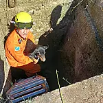 Filhote é resgatado em galeria de 4 metros de profundidade em Corumbá