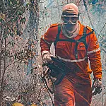 Brasil e Bolívia discutem parceria para conter incêndios no Pantanal